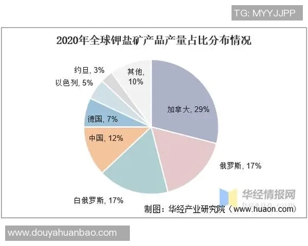 全球足球明星实力排行图：各大球队球员综合评分与位置分布分析